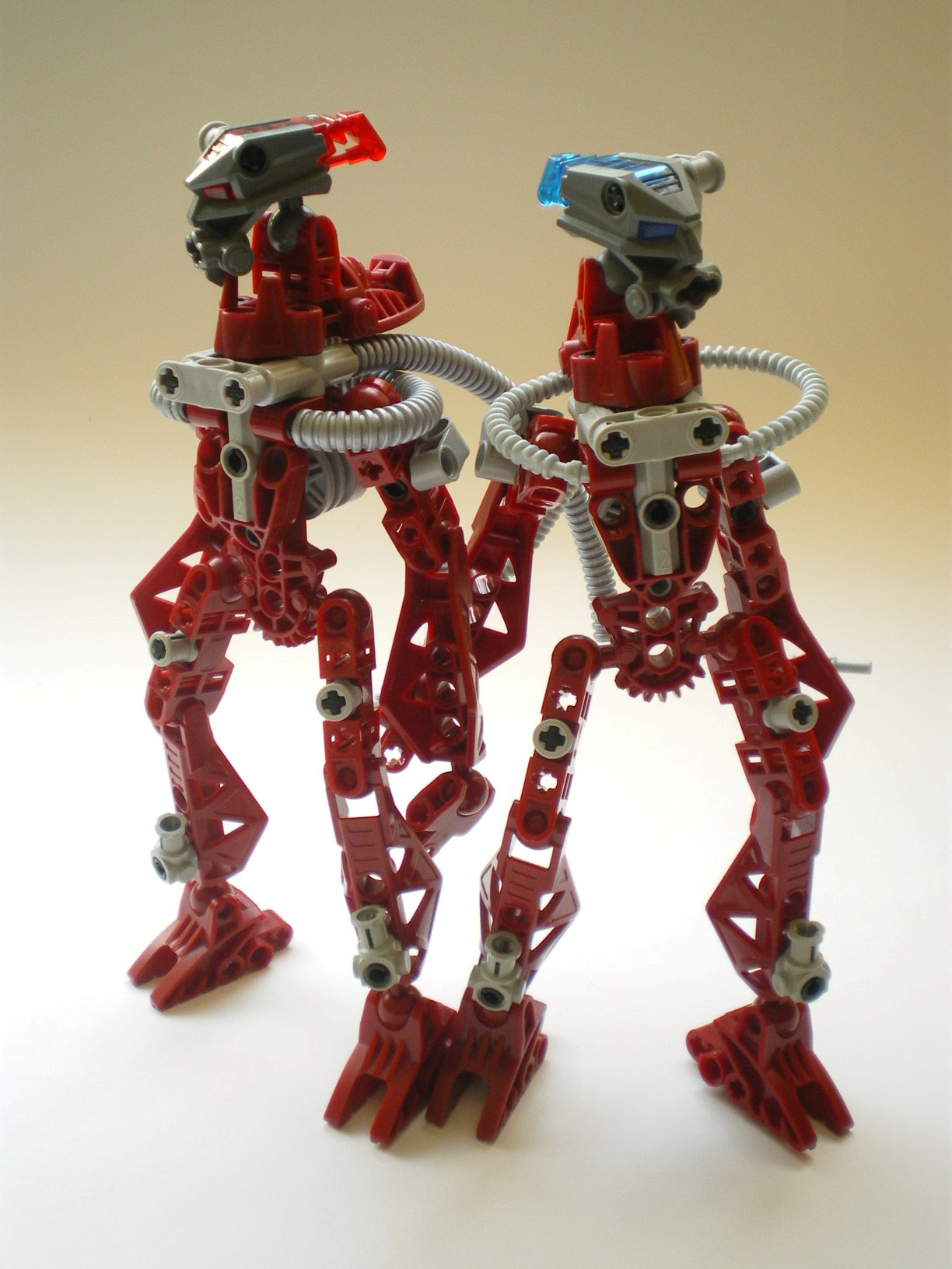 imgp1291.jpg