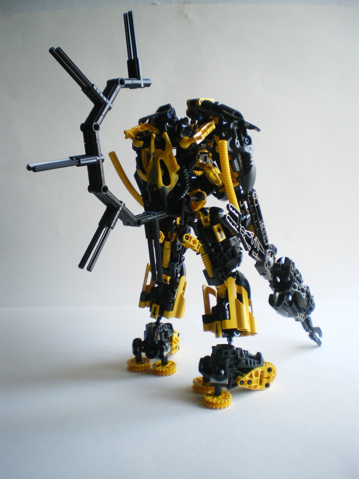 imgp3629.jpg