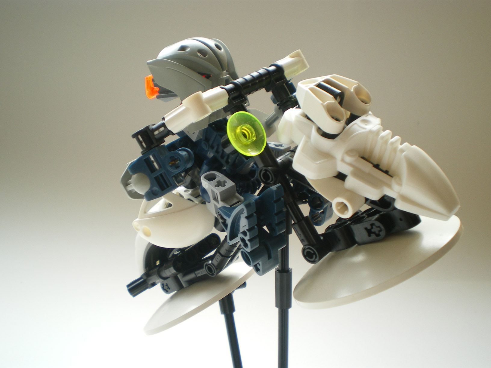 imgp2197.jpg