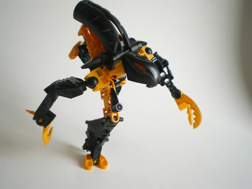 imgp6027.jpg