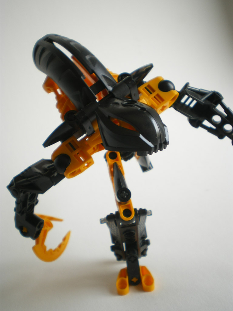 imgp6029.jpg