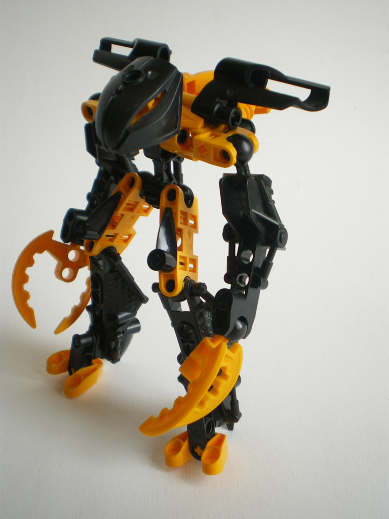imgp6051.jpg