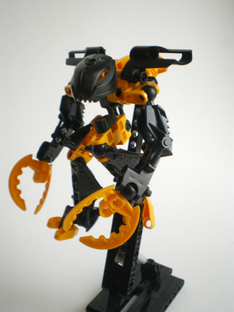 imgp6058.jpg