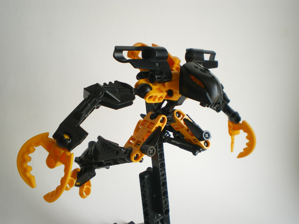 imgp6069.jpg