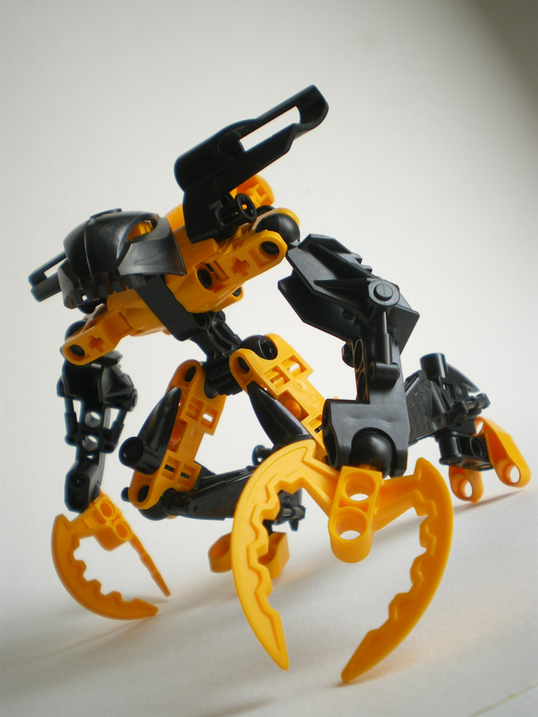 imgp6076.jpg