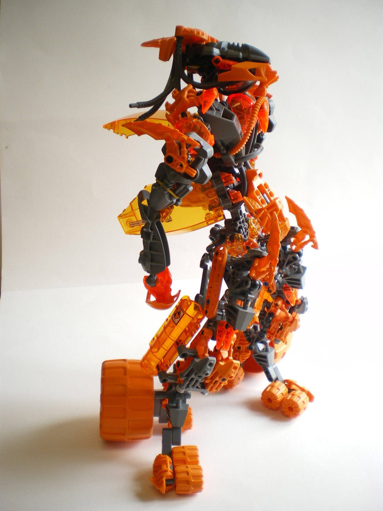 imgp0116.jpg