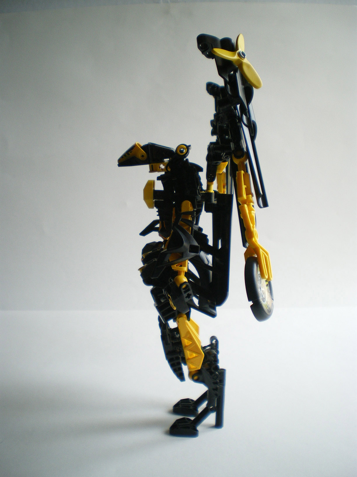 imgp3421.jpg