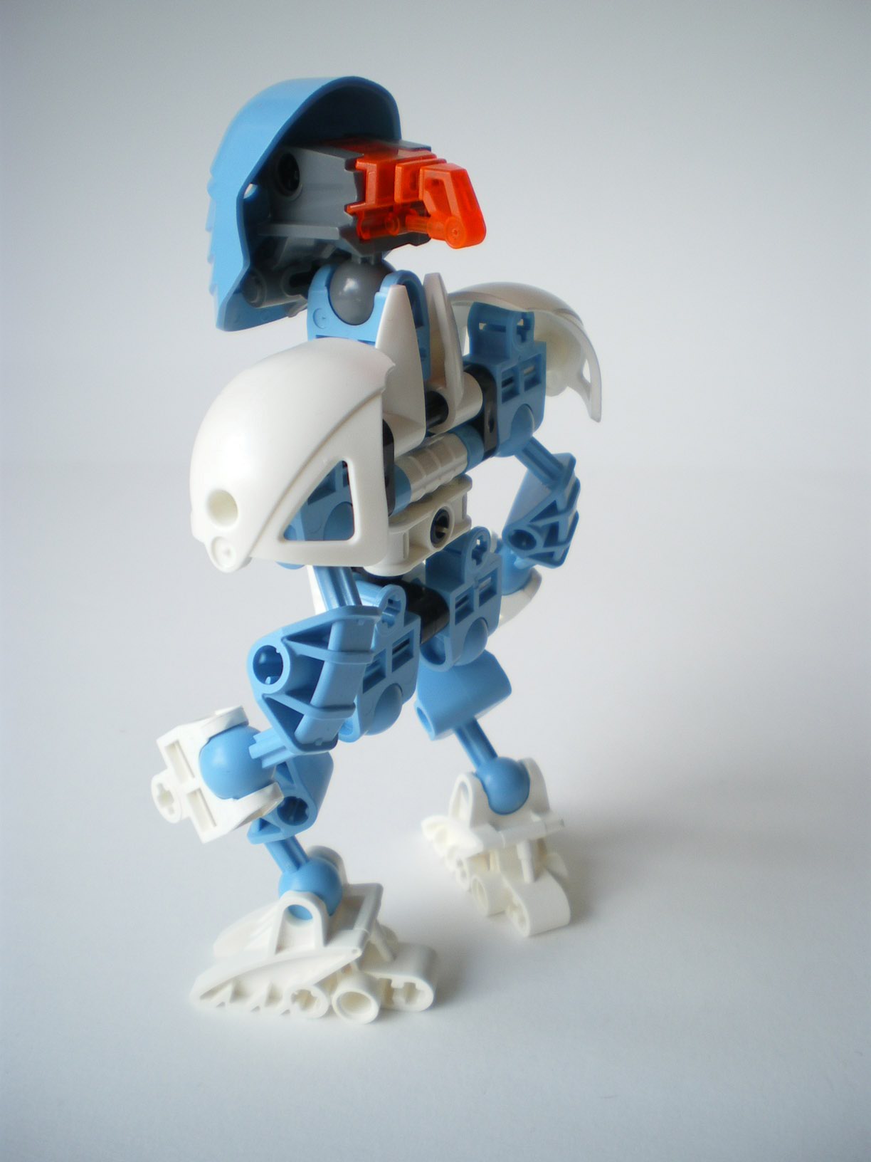 imgp3617.jpg