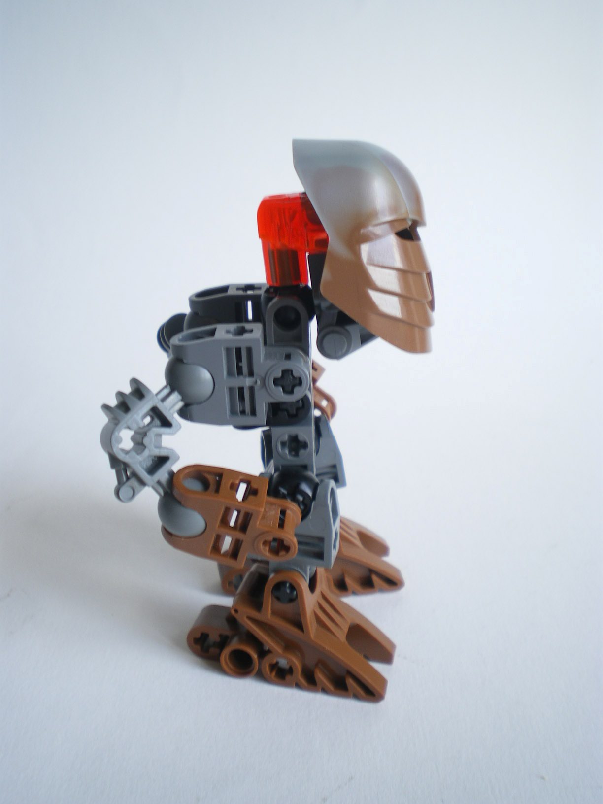imgp6406.jpg