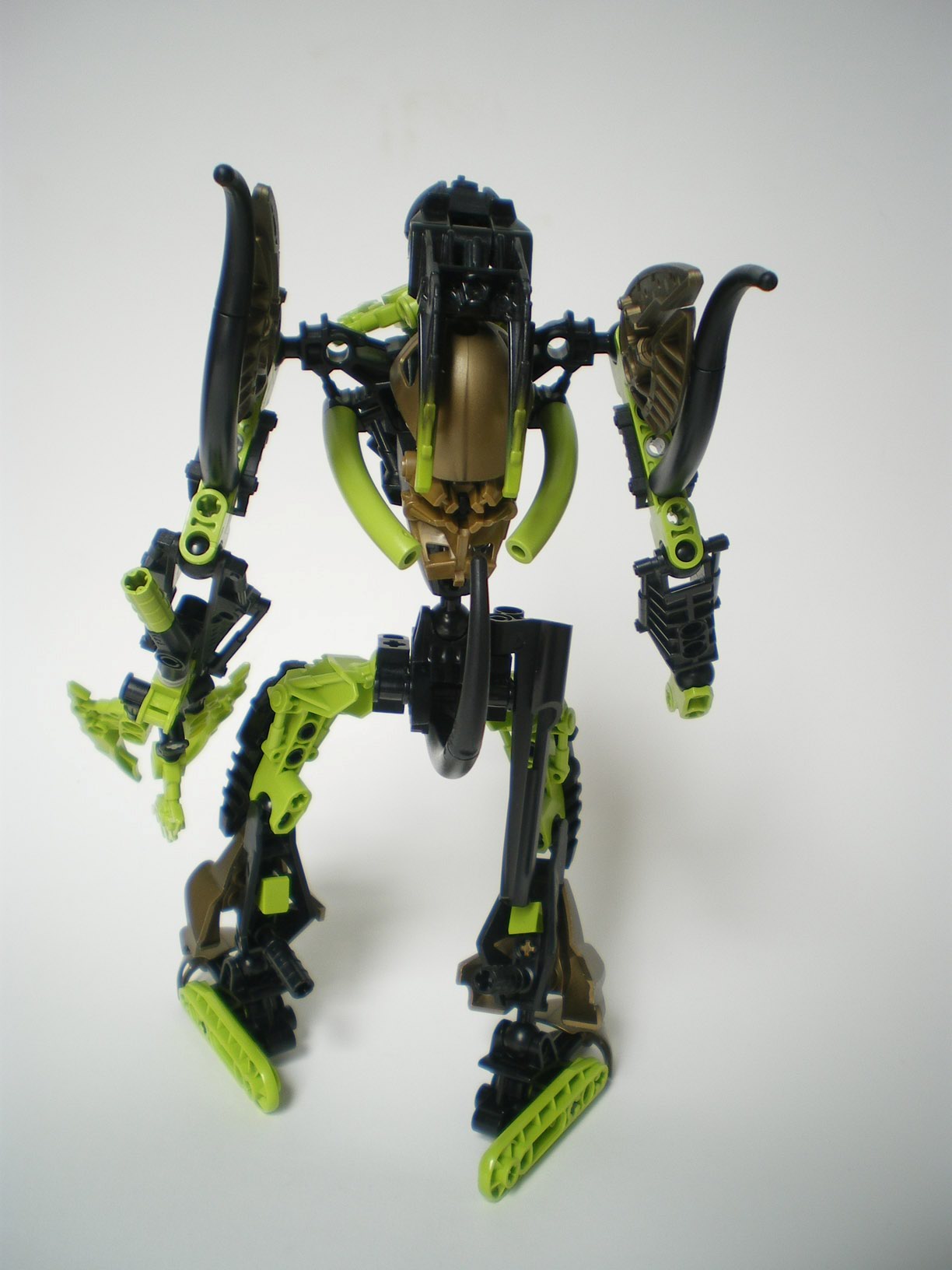 imgp6565.jpg