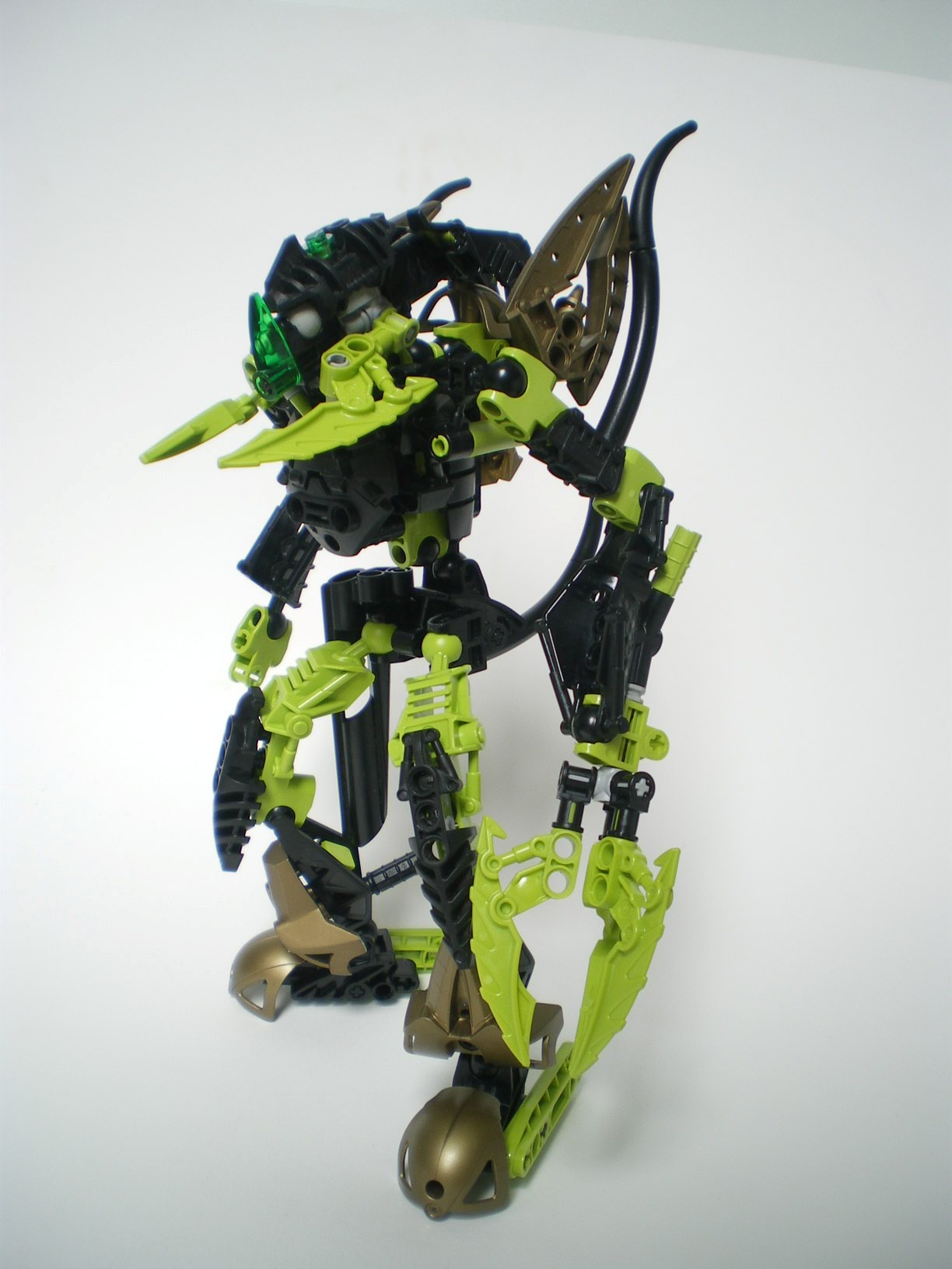 imgp6568.jpg