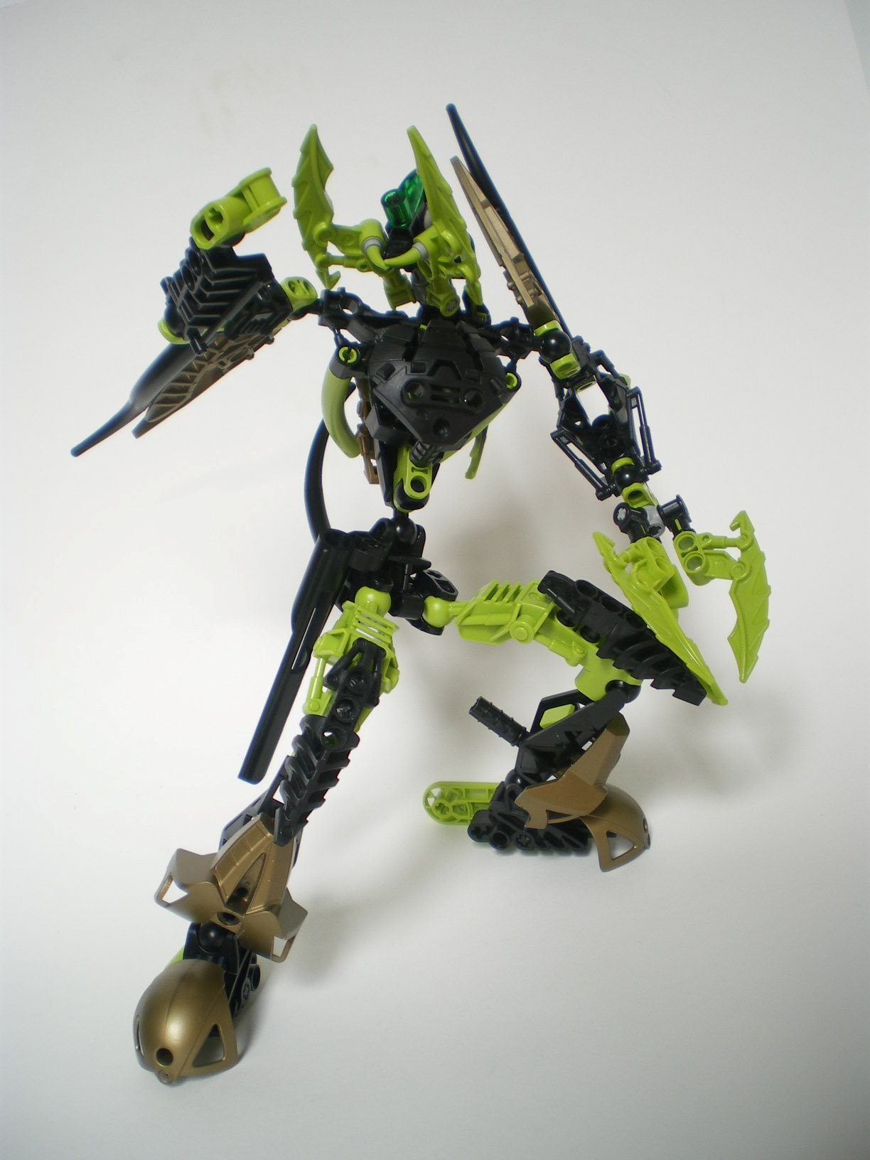 imgp6581.jpg