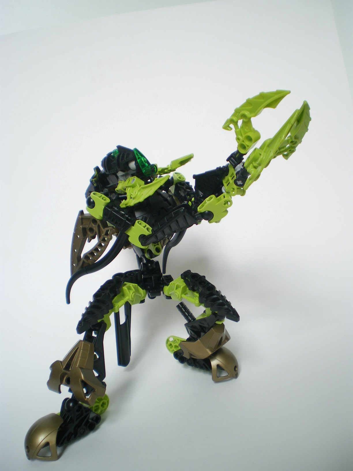 imgp6590.jpg
