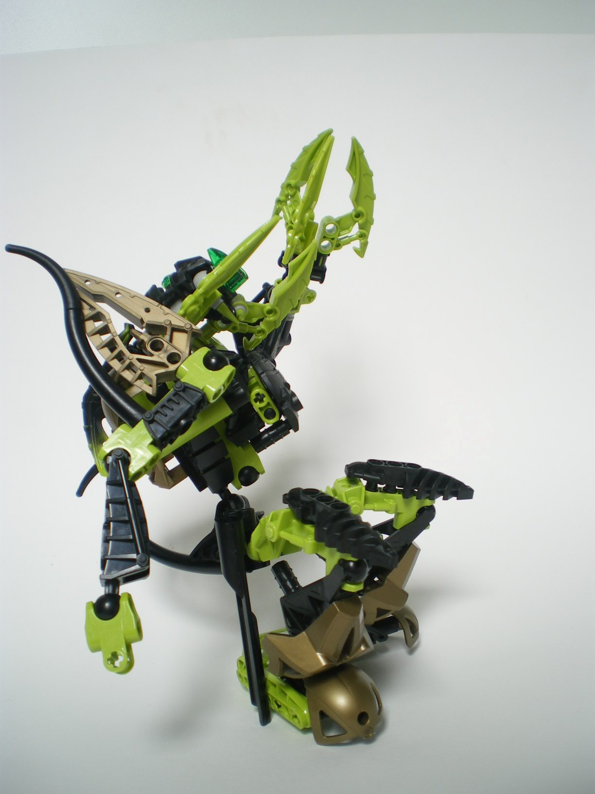 imgp6595.jpg