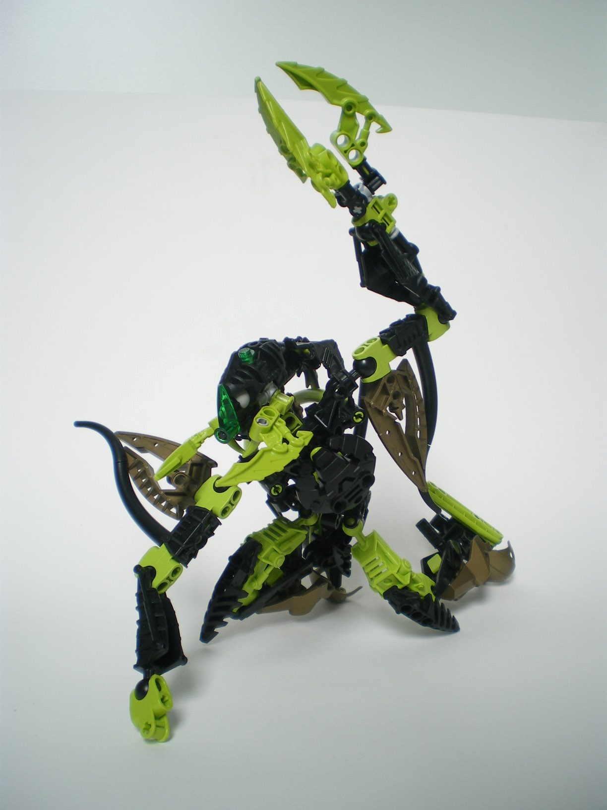 imgp6602.jpg