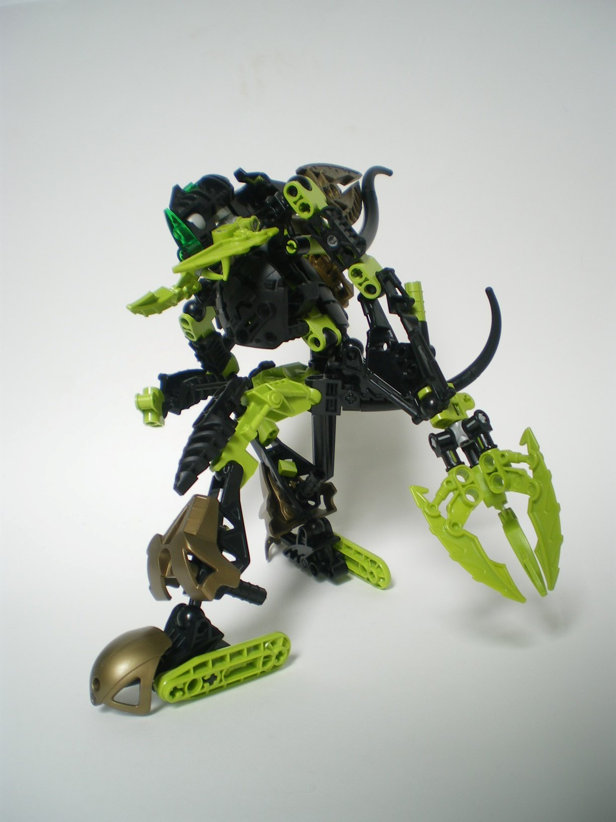 imgp6611.jpg