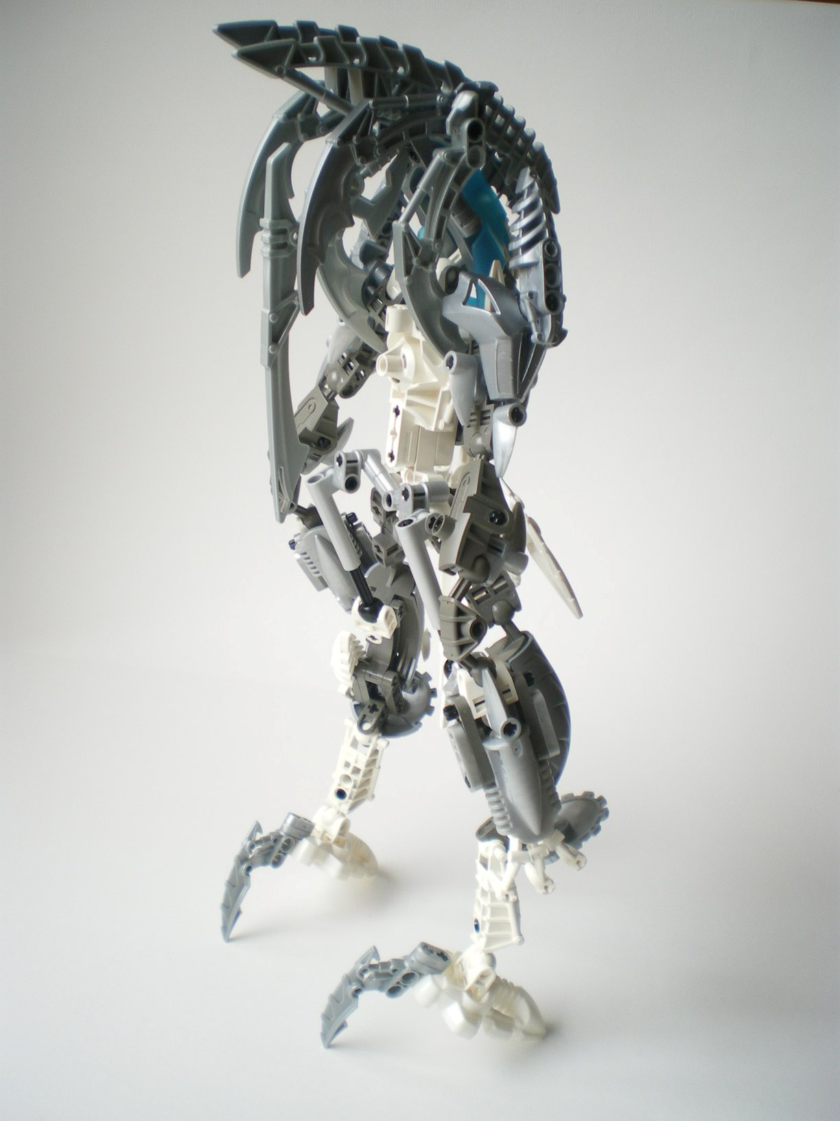 imgp2214.jpg