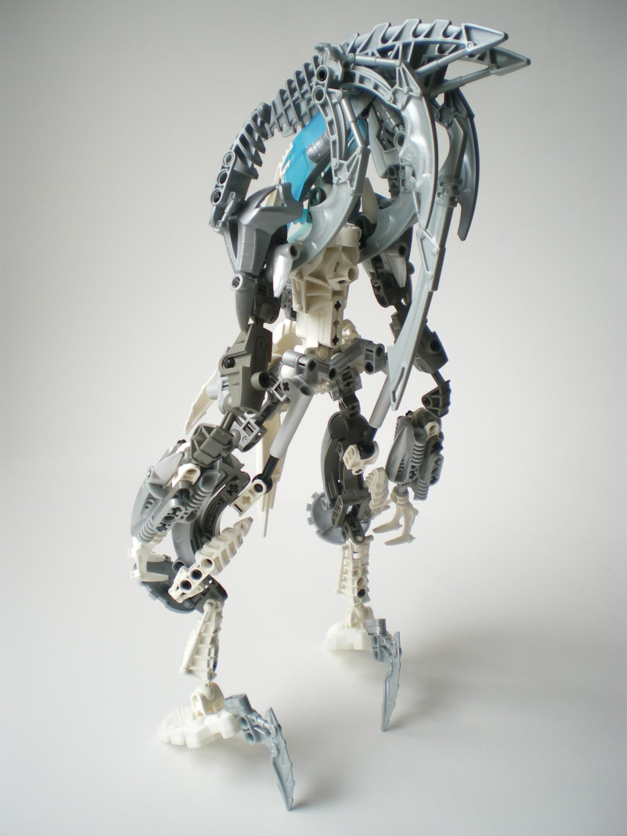 imgp2216.jpg