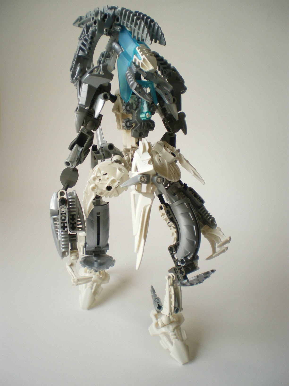 imgp2236.jpg