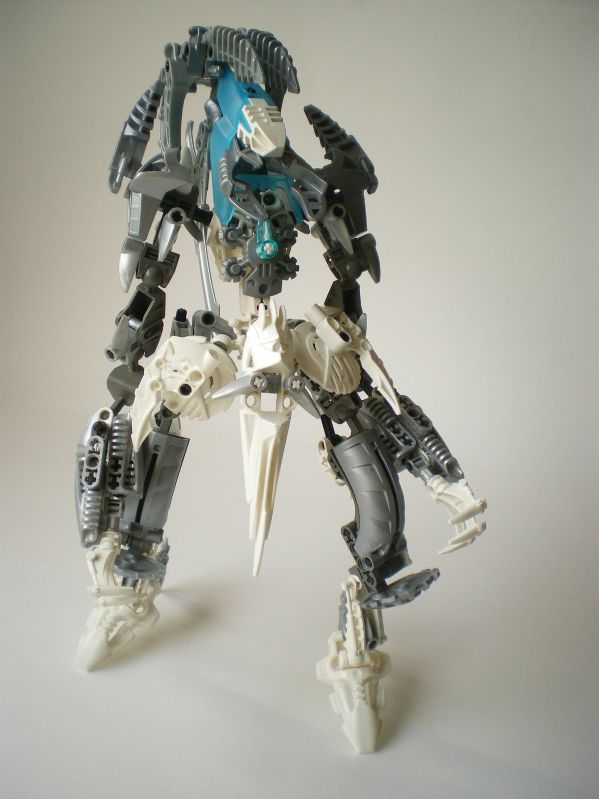 imgp2237.jpg