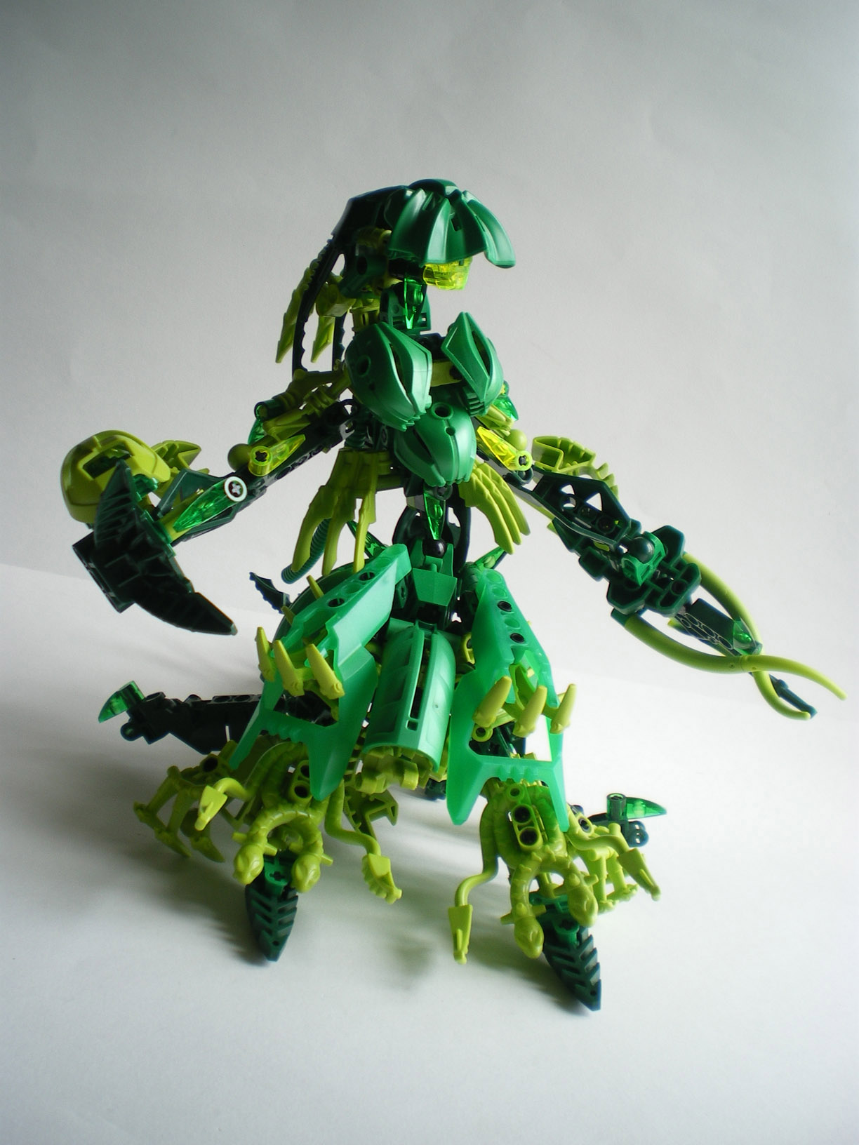 imgp1416.jpg