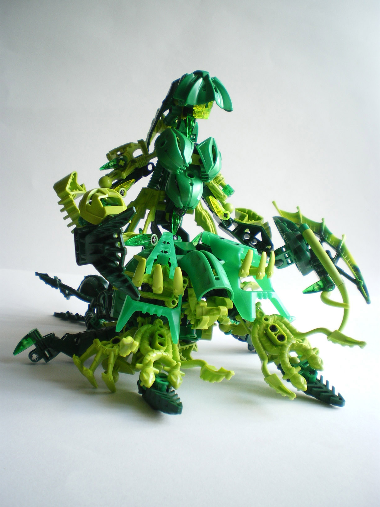 imgp1429.jpg