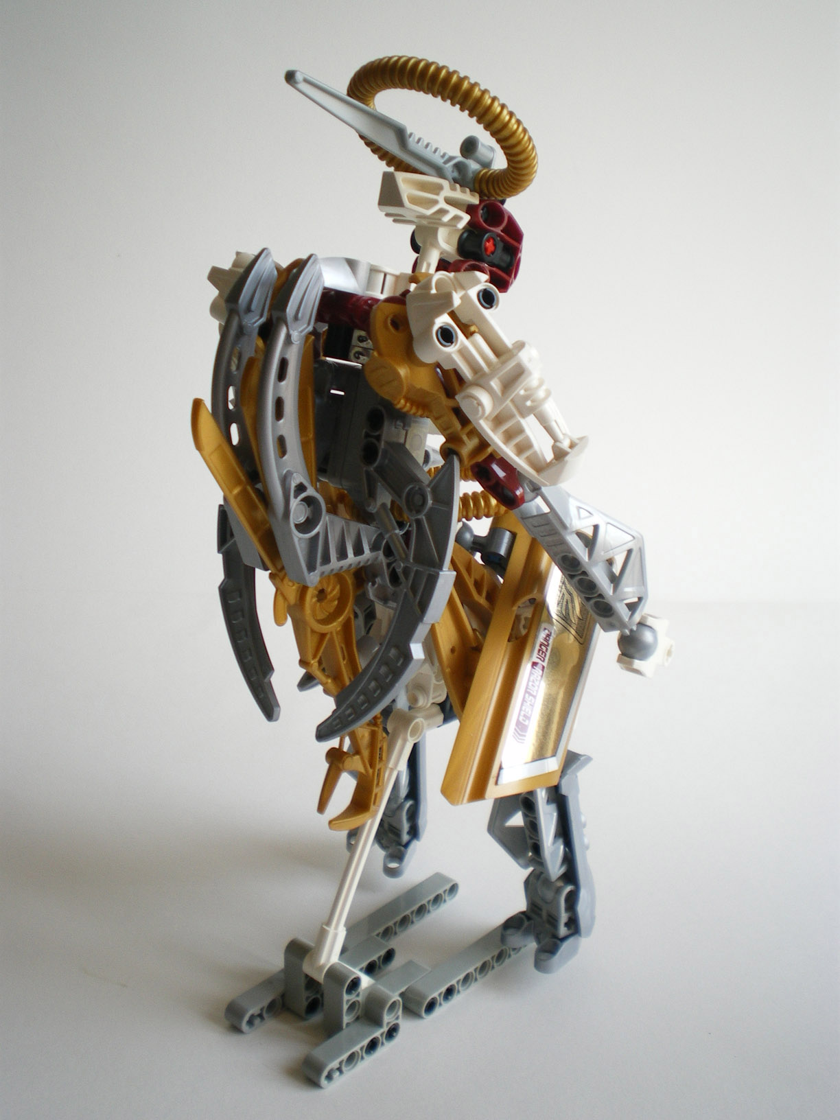 imgp9504.jpg