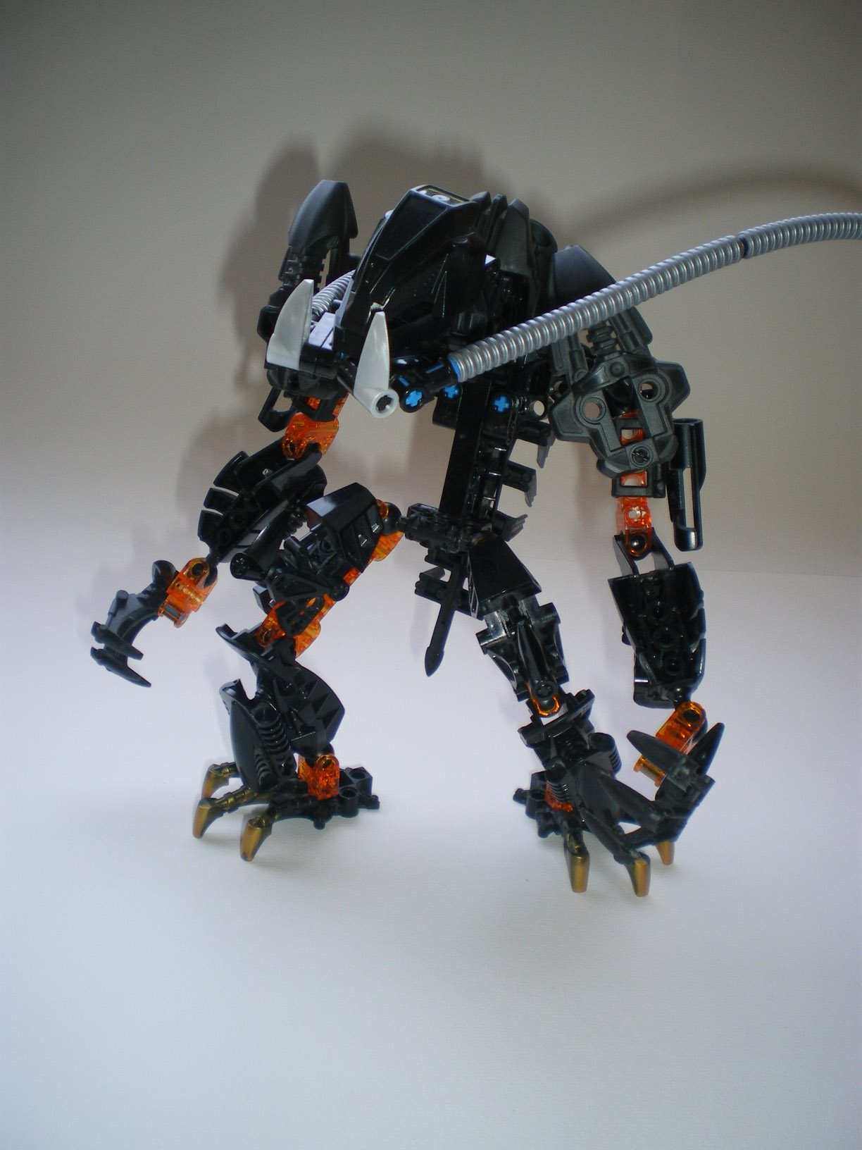 imgp1799.jpg