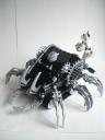 imgp6268.jpg