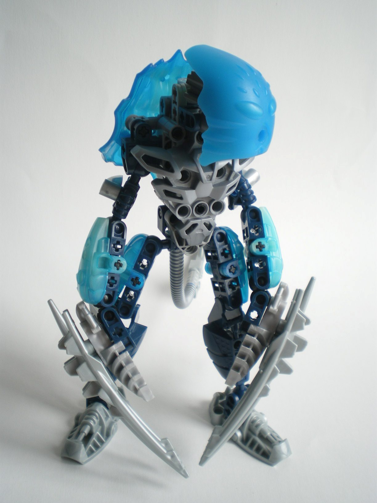 imgp6204.jpg