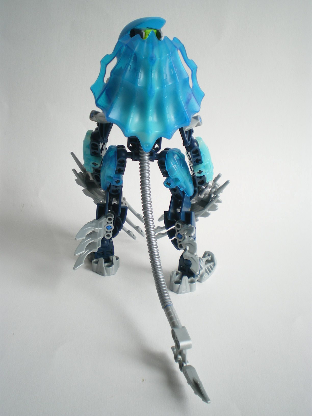 imgp6208.jpg