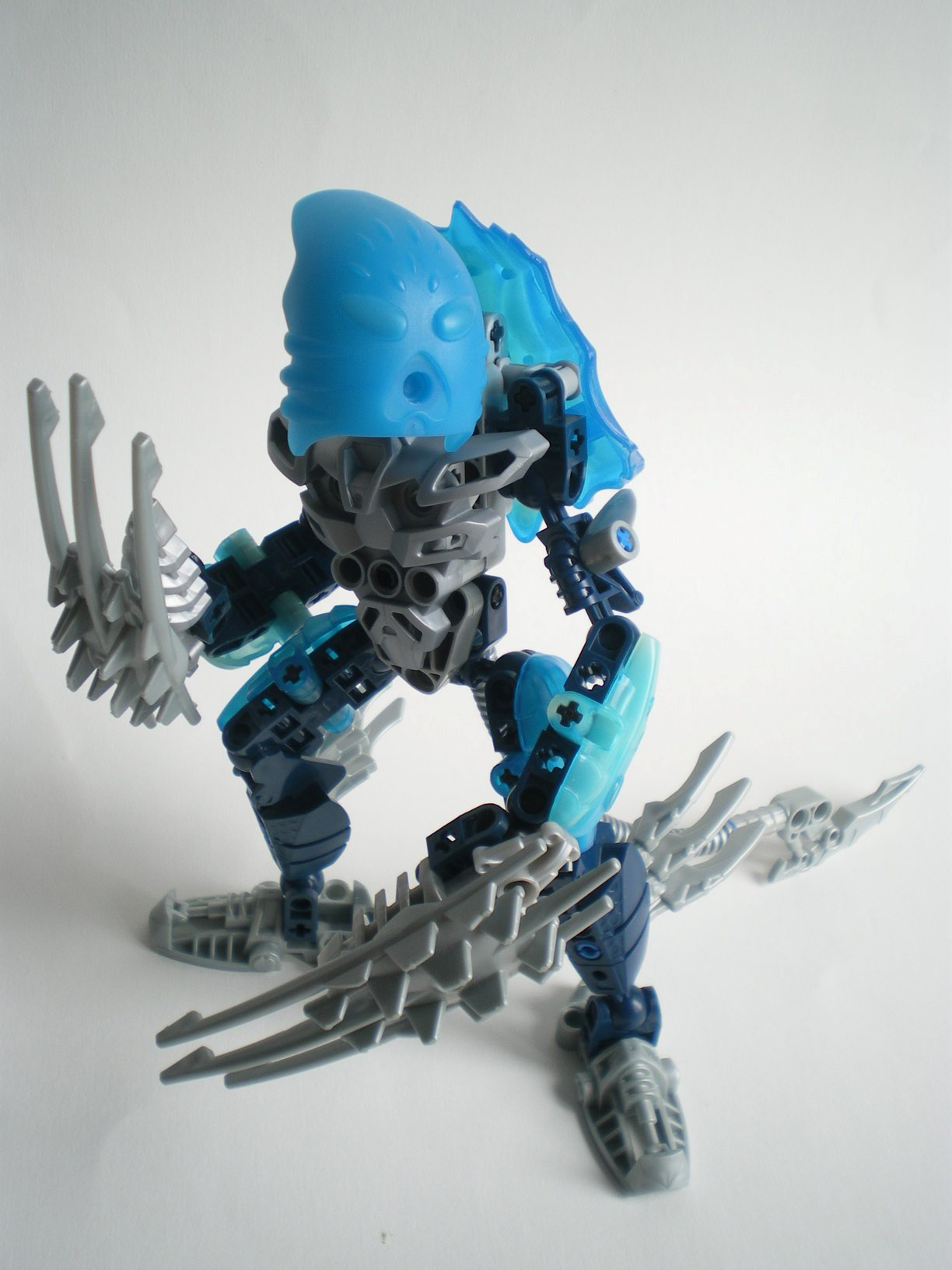 imgp6226.jpg