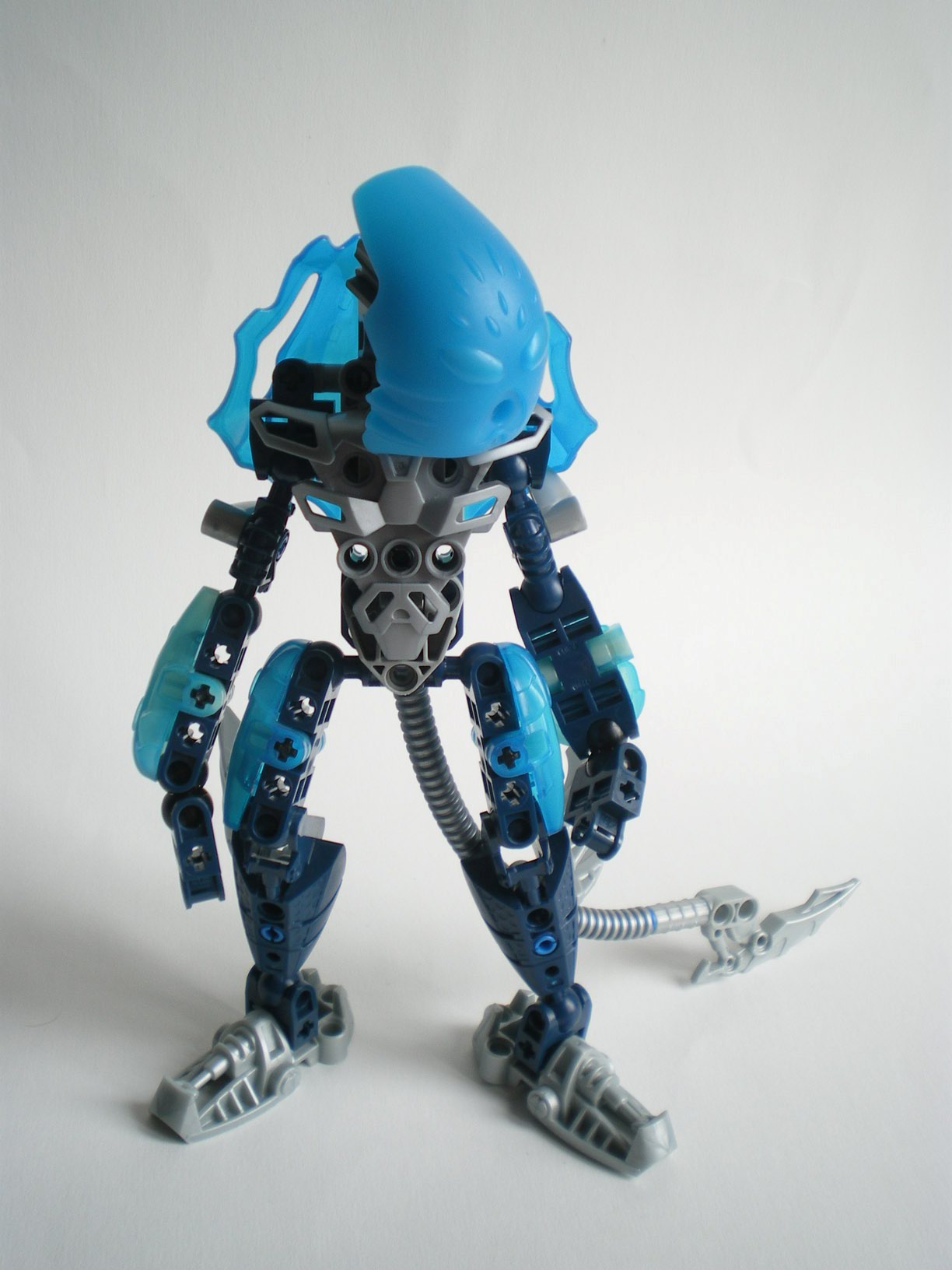 imgp6231.jpg