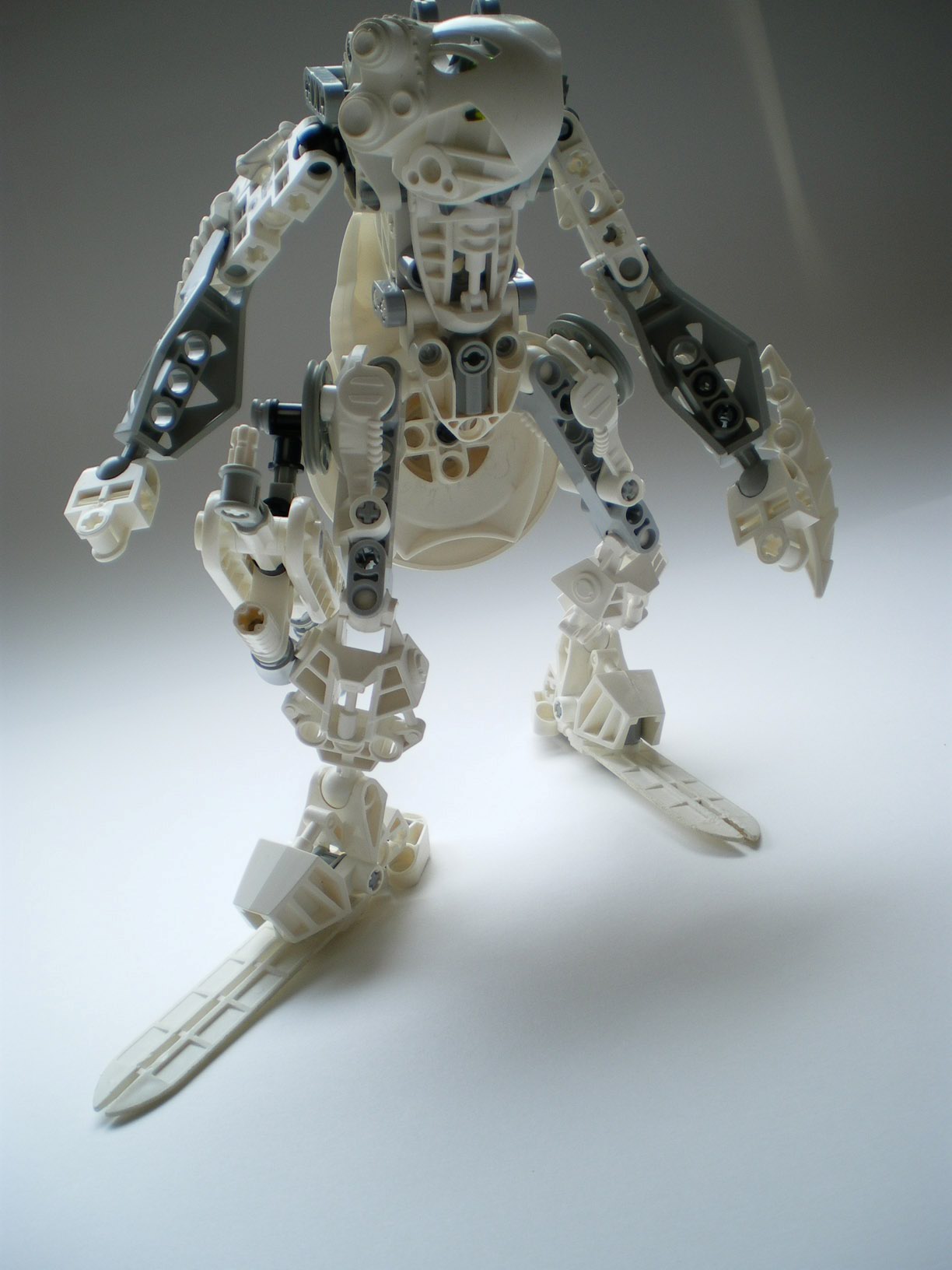imgp0727.jpg