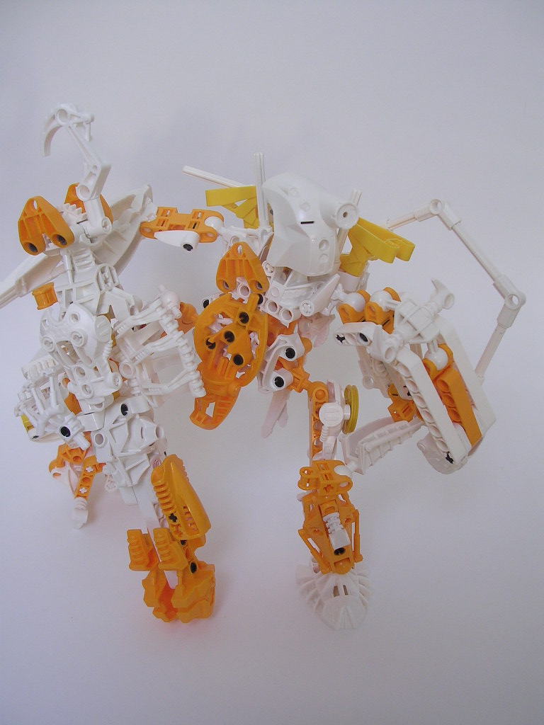 dscn3381.jpg