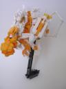 dscn3399.jpg