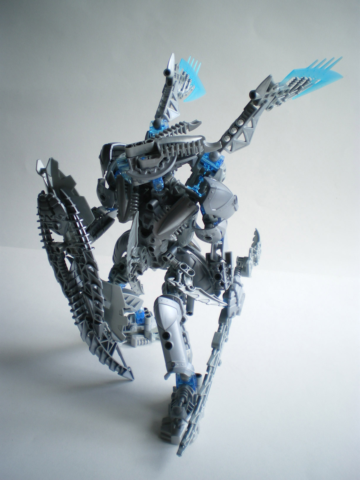 imgp1695.jpg