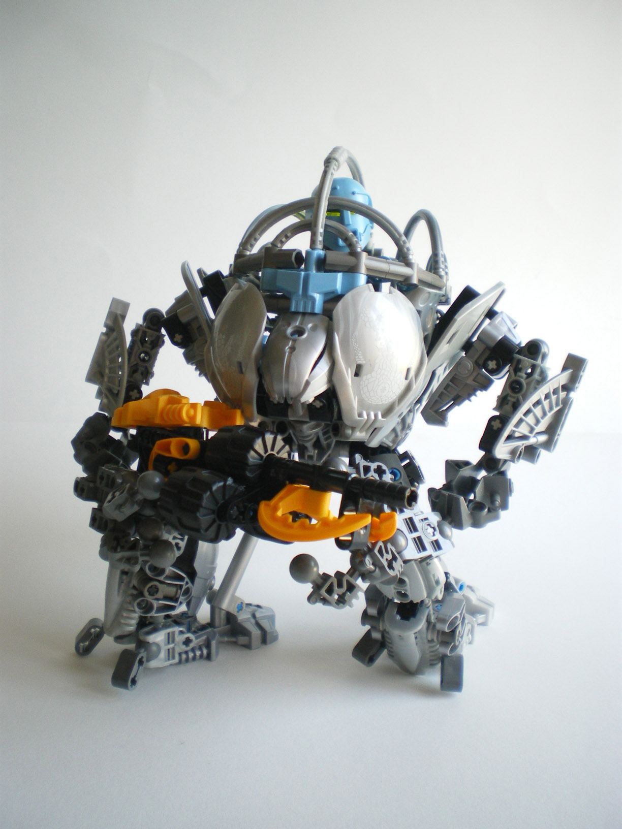 imgp8868.jpg