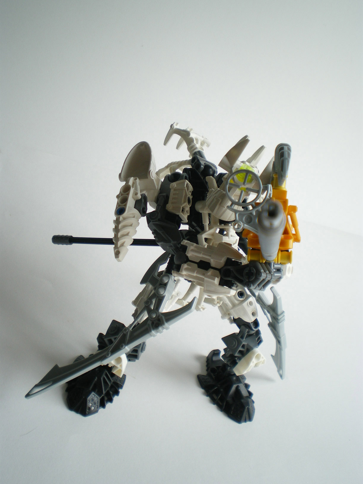 imgp9656.jpg
