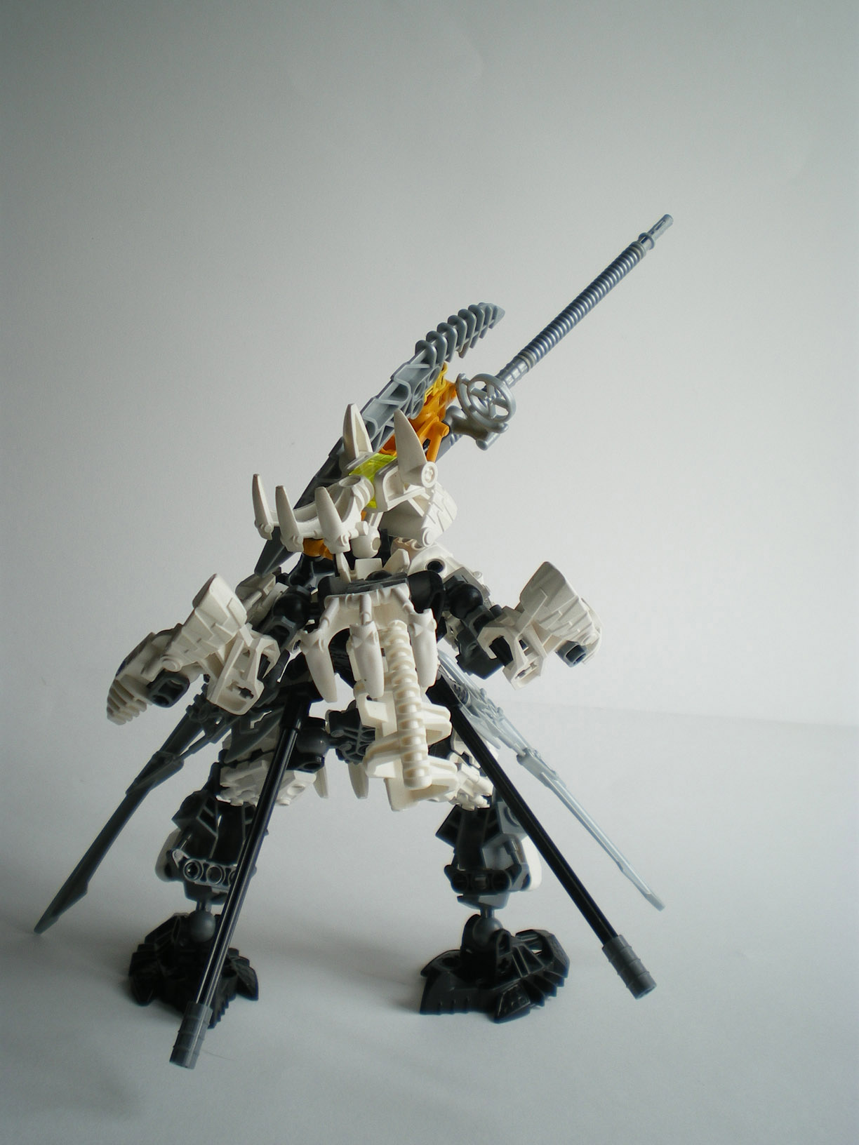 imgp9661.jpg