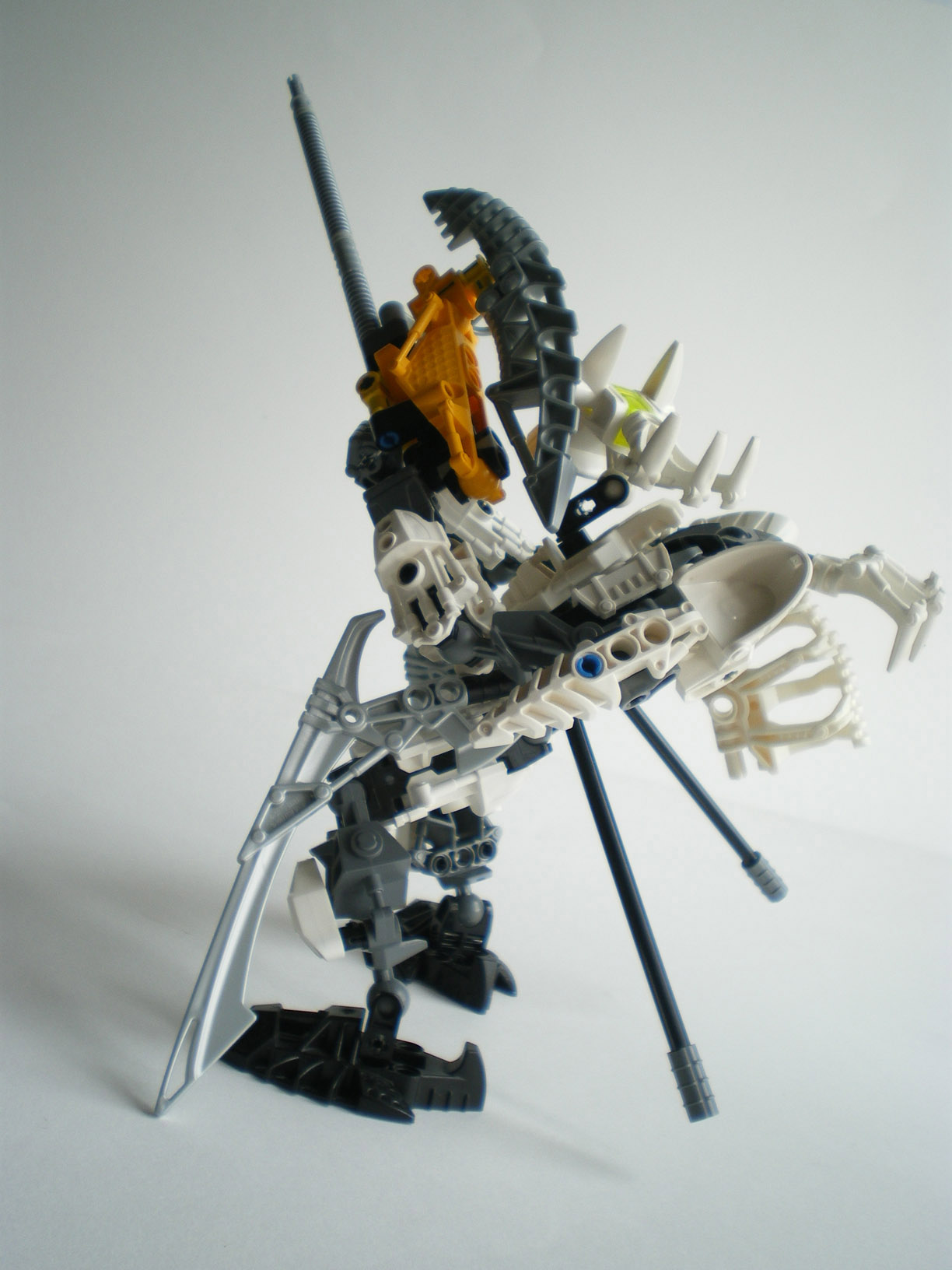 imgp9662.jpg