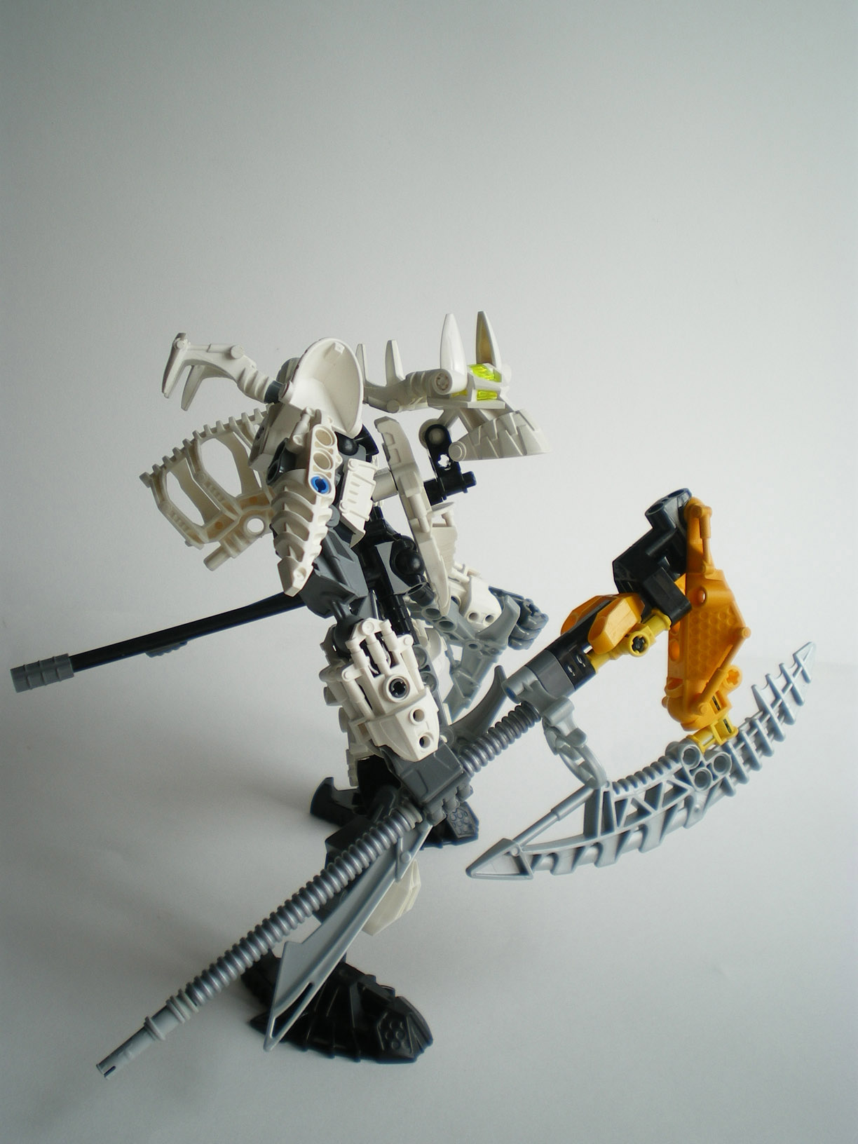imgp9669.jpg