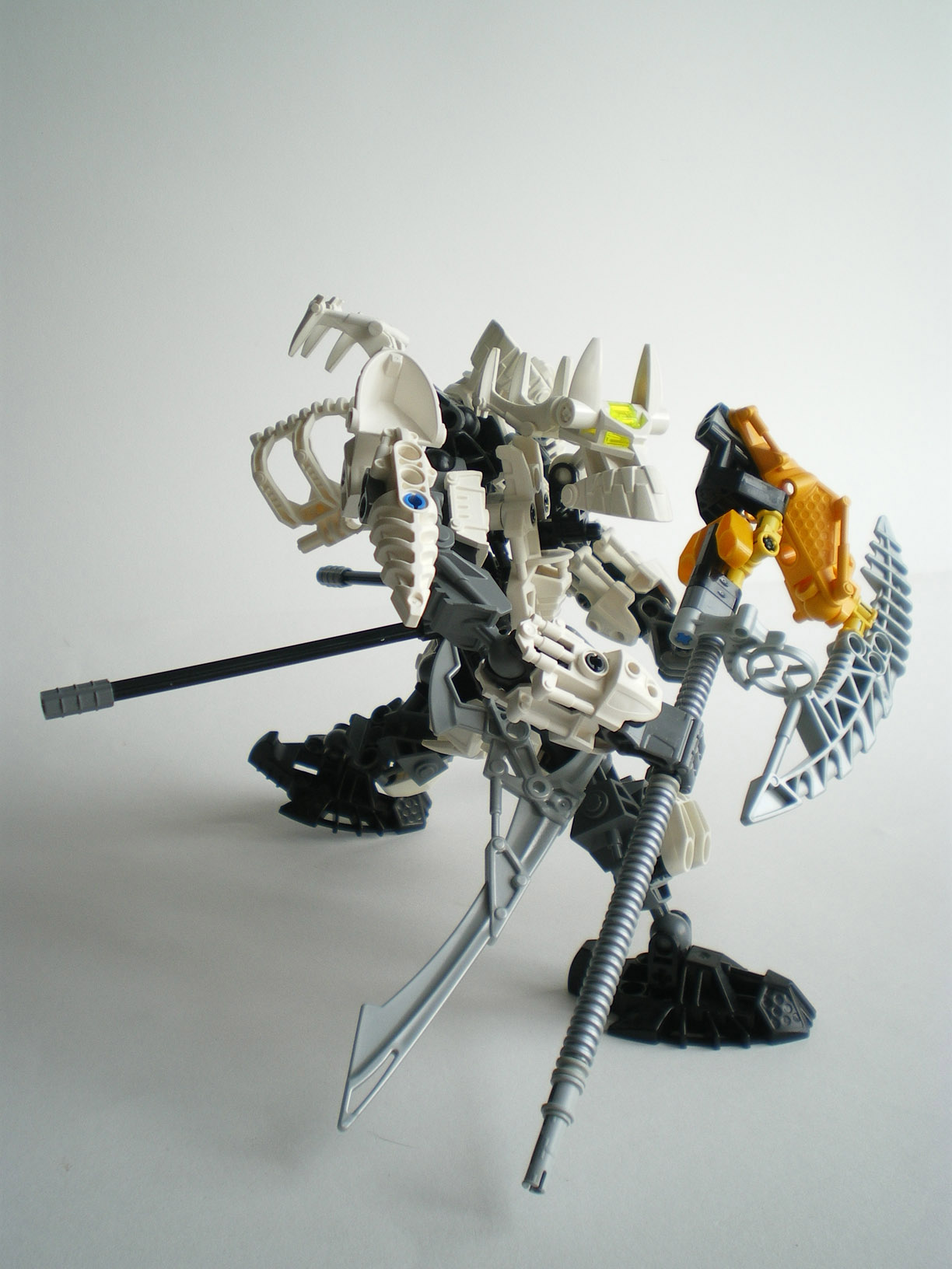 imgp9677.jpg