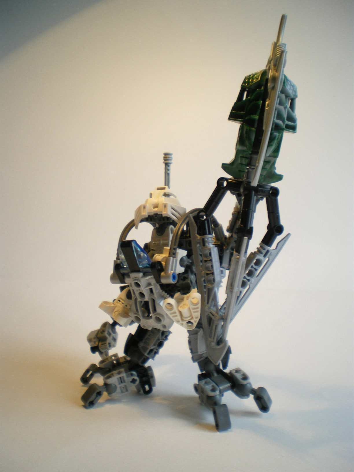 imgp9803.jpg