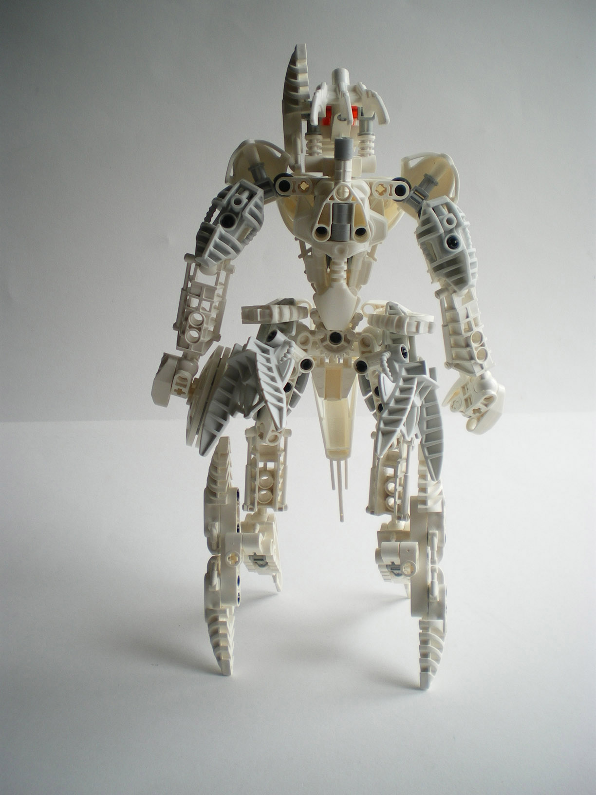 imgp1261.jpg