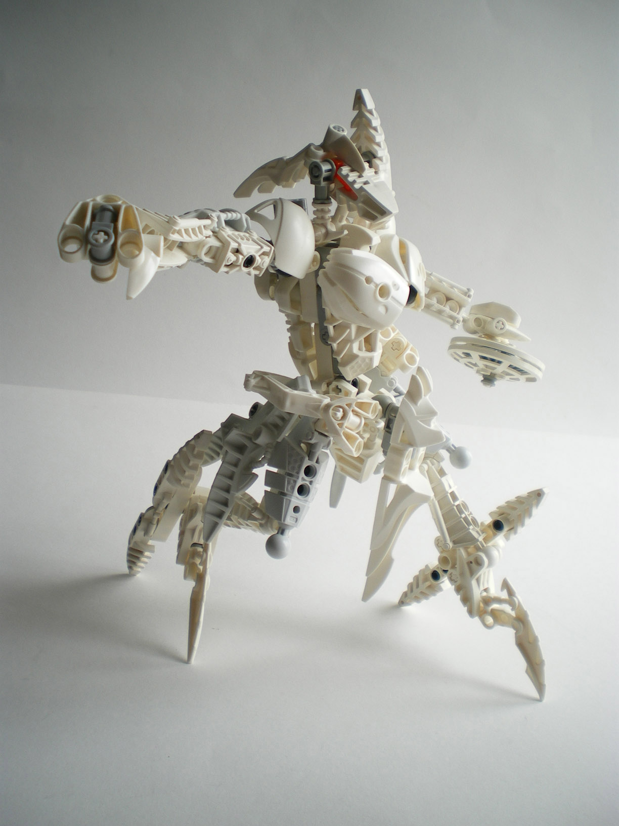 imgp1272.jpg
