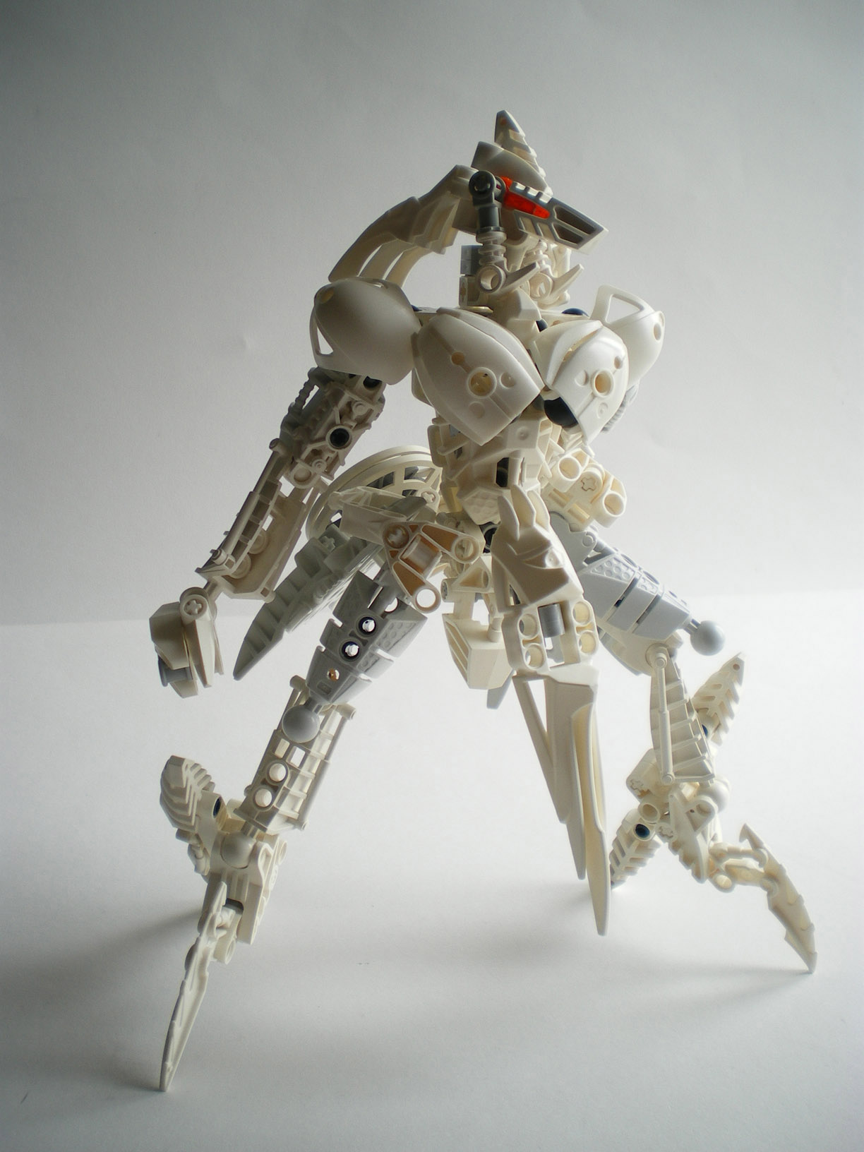 imgp1278.jpg