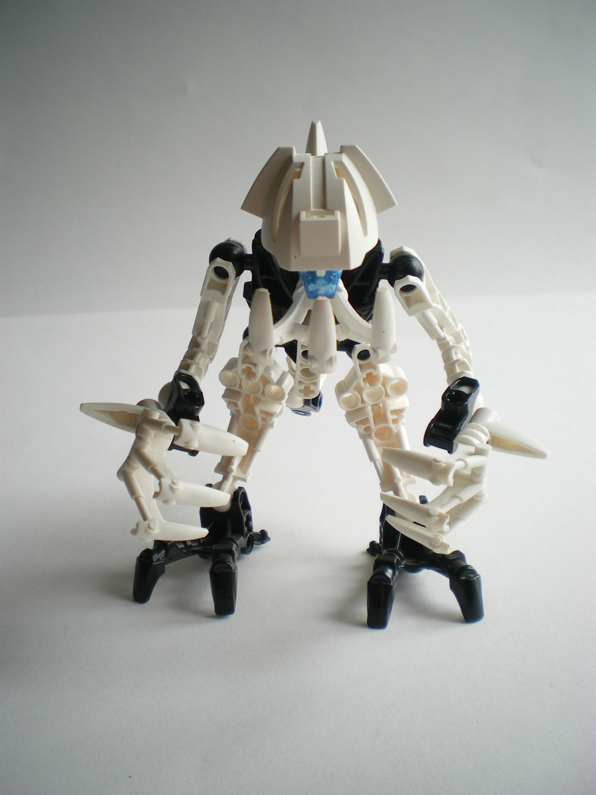 imgp1295.jpg