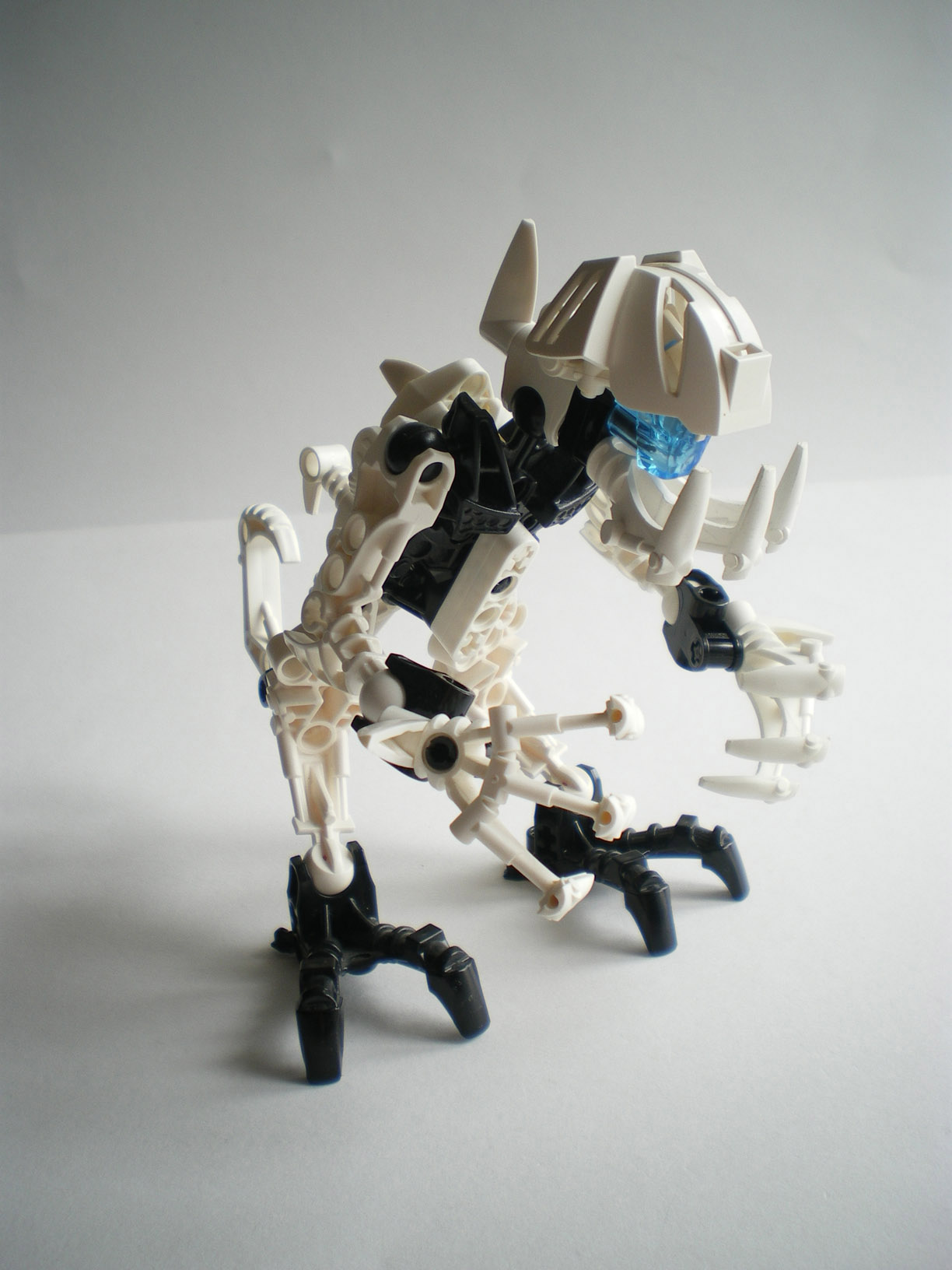 imgp1296.jpg
