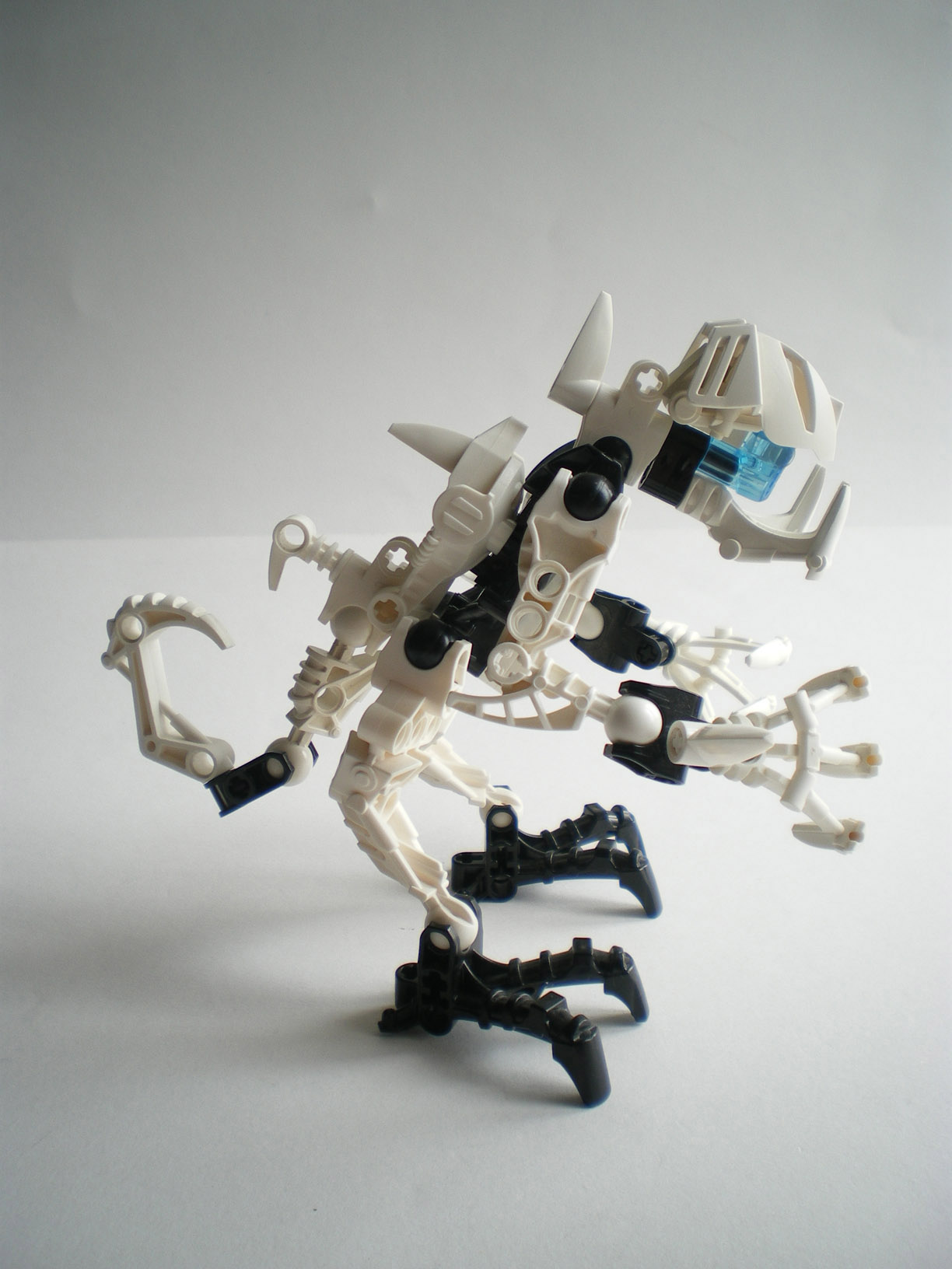 imgp1297.jpg